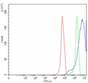 Flow cytometry testing of human RT4 cells with Synaptosomal-associated protein 23 antibody at 1ug/million cells (blocked with goat sera); Red=cells alone, Green=isotype control, Blue= Synaptosomal-associated protein 23 antibody.