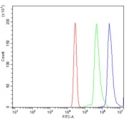 Flow cytometry testing of human U937 cells with STAT6 antibody at 1ug/million cells (blocked with goat sera); Red=cells alone, Green=isotype control, Blue= STAT6 antibody.