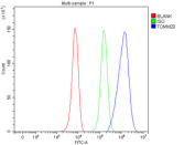 Flow cytometry testing of fixed and permeabilized human HepG2 cells with TOMM20 antibody at 1ug/million cells (blocked with goat sera); Red=cells alone, Green=isotype control, Blue= TOMM20 antibody.