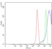 Flow cytometry testing of human RT4 cells with TRPV6 antibody at 1ug/million cells (blocked with goat sera); Red=cells alone, Green=isotype control, Blue= TRPV6 antibody.