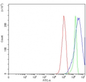 Flow cytometry testing of human RT4 cells with BBS8 antibody at 1ug/million cells (blocked with goat sera); Red=cells alone, Green=isotype control, Blue= BBS8 antibody.