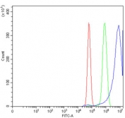 Flow cytometry testing of human U-87 MG cells with XIAP associated factor 1 antibody at 1ug/million cells (blocked with goat sera); Red=cells alone, Green=isotype control, Blue= XIAP associated factor 1 antibody.