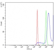 Flow cytometry testing of human SiHa cells with TZAP antibody at 1ug/million cells (blocked with goat sera); Red=cells alone, Green=isotype control, Blue= TZAP antibody.