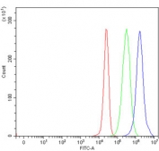 Flow cytometry testing of human 293T cells with ATP5F1B antibody at 1ug/million cells (blocked with goat sera); Red=cells alone, Green=isotype control, Blue= ATP5F1B antibody.