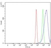 Flow cytometry testing of human U-87 MG cells with Carbonic Anhydrase IX antibody at 1ug/million cells (blocked with goat sera); Red=cells alone, Green=isotype control, Blue= Carbonic Anhydrase IX antibody.