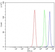 low cytometry testing of mouse RAW264.7 cells with Carbonic Anhydrase IX antibody at 1ug/million cells (blocked with goat sera); Red=cells alone, Green=isotype control, Blue= Carbonic Anhydrase IX antibody.