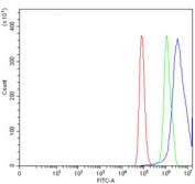 Flow cytometry testing of human HeLa cells with CHD1 antibody at 1ug/million cells (blocked with goat sera); Red=cells alone, Green=isotype control, Blue= CHD1 antibody.
