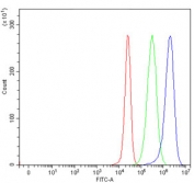 Flow cytometry testing of human 293T cells with COX5B antibody at 1ug/million cells (blocked with goat sera); Red=cells alone, Green=isotype control, Blue= COX5B antibody.