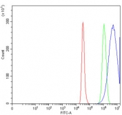 Flow cytometry testing of human HepG2 cells with CTRL antibody at 1ug/million cells (blocked with goat sera); Red=cells alone, Green=isotype control, Blue= CTRL antibody.