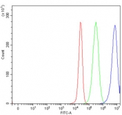 Flow cytometry testing of human 293T cells with ECHS1 antibody at 1ug/million cells (blocked with goat sera); Red=cells alone, Green=isotype control, Blue= ECHS1 antibody.