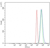 Flow cytometry testing of human HeLa cells with ECHS1 antibody at 1ug/million cells (blocked with goat sera); Red=cells alone, Green=isotype control, Blue= ECHS1 antibody.