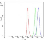 Flow cytometry testing of human HEL cells with HAX1 antibody at 1ug/million cells (blocked with goat sera); Red=cells alone, Green=isotype control, Blue= HAX1 antibody.