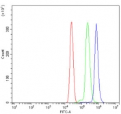 Flow cytometry testing of human U937 cells with Eg5 antibody at 1ug/million cells (blocked with goat sera); Red=cells alone, Green=isotype control, Blue= Eg5 antibody.