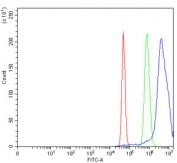 Flow cytometry testing of mouse Neuro-2a cells with KLF13 antibody at 1ug/million cells (blocked with goat sera); Red=cells alone, Green=isotype control, Blue= KLF13 antibody.