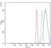 Flow cytometry testing of human HeLa cells with MRPS18B antibody at 1ug/million cells (blocked with goat sera); Red=cells alone, Green=isotype control, Blue= MRPS18B antibody.