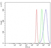 Flow cytometry testing of human HeLa cells with NDUFS6 antibody at 1ug/million cells (blocked with goat sera); Red=cells alone, Green=isotype control, Blue= NDUFS6 antibody.