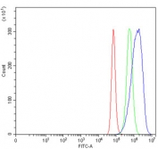 Flow cytometry testing of human HeLa cells with NDUFS8 antibody at 1ug/million cells (blocked with goat sera); Red=cells alone, Green=isotype control, Blue= NDUFS8 antibody.