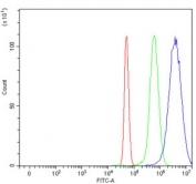 Flow cytometry testing of human U-251 cells with NOP58 antibody at 1ug/million cells (blocked with goat sera); Red=cells alone, Green=isotype control, Blue= NOP58 antibody.