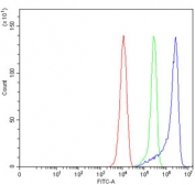 Flow cytometry testing of mouse RAW264.7 cells with APP-1 antibody at 1ug/million cells (blocked with goat sera); Red=cells alone, Green=isotype control, Blue= APP-1 antibody.