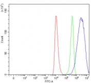 Flow cytometry testing of human HEL cells with RPL36 antibody at 1ug/million cells (blocked with goat sera); Red=cells alone, Green=isotype control, Blue= RPL36 antibody.