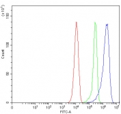 Flow cytometry testing of mouse RAW264.7 cells with SEPTIN1 antibody at 1ug/million cells (blocked with goat sera); Red=cells alone, Green=isotype control, Blue= LARP antibody.