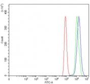 Flow cytometry testing of human HeLa cells with SEPT4 antibody at 1ug/million cells (blocked with goat sera); Red=cells alone, Green=isotype control, Blue= SEPT4 antibody.