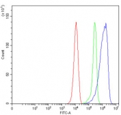 Flow cytometry testing of mouse RAW264.7 cells with Sept8 antibody at 1ug/million cells (blocked with goat sera); Red=cells alone, Green=isotype control, Blue= Sept8 antibody.