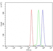 Flow cytometry testing of human U937 cells with Transcription factor EB antibody at 1ug/million cells (blocked with goat sera); Red=cells alone, Green=isotype control, Blue= Transcription factor EB antibody.