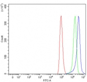 Flow cytometry testing of human A549 cells with CANX antibody at 1ug/million cells (blocked with goat sera); Red=cells alone, Green=isotype control, Blue= CANX antibody.