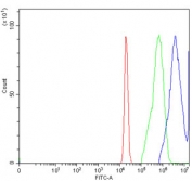 Flow cytometry testing of human A431 cells with TP53 antibody at 1ug/million cells (blocked with goat sera); Red=cells alone, Green=isotype control, Blue= TP53 antibody.