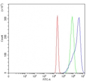 Flow cytometry testing of human U-2 OS cells with HMOX1 antibody at 1ug/million cells (blocked with goat sera); Red=cells alone, Green=isotype control, Blue= HMOX1 antibody.