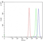 Flow cytometry testing of human MCF7 cells with Histone deacetylase 1 antibody at 1ug/million cells (blocked with goat sera); Red=cells alone, Green=isotype control, Blue= Histone deacetylase 1 antibody.