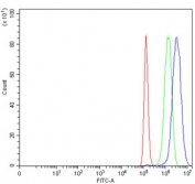 Flow cytometry testing of human PC-3 cells with Growth factor receptor bound protein 2 antibody at 1ug/million cells (blocked with goat sera); Red=cells alone, Green=isotype control, Blue= Growth factor receptor bound protein 2 antibody.