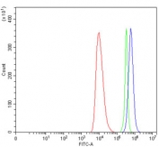 Flow cytometry testing of human HEL cells with Interleukin-1 receptor-like 1 antibody at 1ug/million cells (blocked with goat sera); Red=cells alone, Green=isotype control, Blue= Interleukin-1 receptor-like 1 antibody.