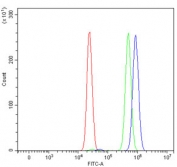 Flow cytometry testing of human HepG2 cells with PC4 antibody at 1ug/million cells (blocked with goat sera); Red=cells alone, Green=isotype control, Blue= PC4 antibody.
