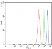 Flow cytometry testing of human RT4 cells with Epoxide hydrolase antibody at 1ug/million cells (blocked with goat sera); Red=cells alone, Green=isotype control, Blue= Epoxide hydrolase antibody.