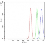 Flow cytometry testing of human 293T cells with Epoxide hydrolase antibody at 1ug/million cells (blocked with goat sera); Red=cells alone, Green=isotype control, Blue= Epoxide hydrolase antibody.
