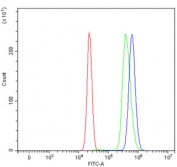 Flow cytometry testing of human HepG2 cells with PDCD4 antibody at 1ug/million cells (blocked with goat sera); Red=cells alone, Green=isotype control, Blue= PDCD4 antibody.