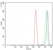 Flow cytometry testing of human MCF7 cells with JUP antibody at 1ug/million cells (blocked with goat sera); Red=cells alone, Green=isotype control, Blue= JUP antibody.