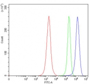 Flow cytometry testing of fixed human Jurkat cells with HBEGF antibody at 1ug/million cells (blocked with goat sera); Red=cells alone, Green=isotype control, Blue= HBEGF antibody.
