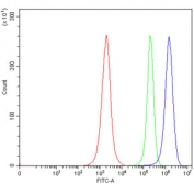 Flow cytometry testing of human Jurkat cells with HBEGF antibody at 1ug/million cells (blocked with goat sera); Red=cells alone, Green=isotype control, Blue= HBEGF antibody.