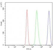 Flow cytometry testing of human HepG2 cells with hnRNP K antibody at 1ug/million cells (blocked with goat sera); Red=cells alone, Green=isotype control, Blue= hnRNP K antibody.