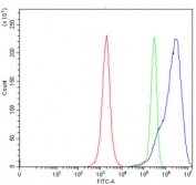 Flow cytometry testing of human JK cells with C-1-tetrahydrofolate synthase antibody at 1ug/million cells (blocked with goat sera); Red=cells alone, Green=isotype control, Blue= C-1-tetrahydrofolate synthase antibody.