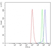 Flow cytometry testing of human HEL cells with DEP1 antibody at 1ug/million cells (blocked with goat sera); Red=cells alone, Green=isotype control, Blue= DEP1 antibody.