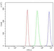 Flow cytometry testing of human HepG2 cells with FIP1L1 antibody at 1ug/million cells (blocked with goat sera); Red=cells alone, Green=isotype control, Blue= FIP1L1 antibody.