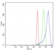 Flow cytometry testing of human MCF7 cells with TOMM40 antibody at 1ug/million cells (blocked with goat sera); Red=cells alone, Green=isotype control, Blue= TOMM40 antibody.