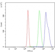 Flow cytometry testing of human HepG2 cells with CENPF antibody at 1ug/million cells (blocked with goat sera); Red=cells alone, Green=isotype control, Blue= CENPF antibody.