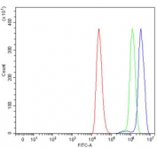 Flow cytometry testing of human ThP-1 cells with ERP29 antibody at 1ug/million cells (blocked with goat sera); Red=cells alone, Green=isotype control, Blue= ERP29 antibody.