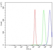 Flow cytometry testing of rat C6 cells with hnRNP U antibody at 1ug/million cells (blocked with goat sera); Red=cells alone, Green=isotype control, Blue= hnRNP U antibody.