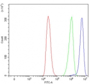 Flow cytometry testing of human ThP-1 cells with DAP5 antibody at 1ug/million cells (blocked with goat sera); Red=cells alone, Green=isotype control, Blue= DAP5 antibody.